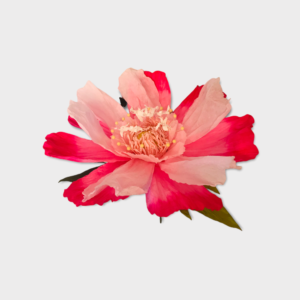 PINK: Dancing paper flower