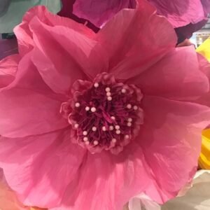 SOFT PINK: Moonlight paper flower
