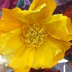 YELLOW: Moonlight paper flower