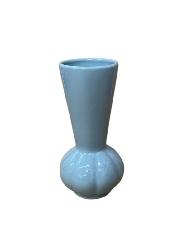 TINT-BLUE-MALI.jpg