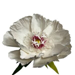 WHITE: Dancing paper flower