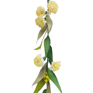 WHITE: Eucalyptus flower light