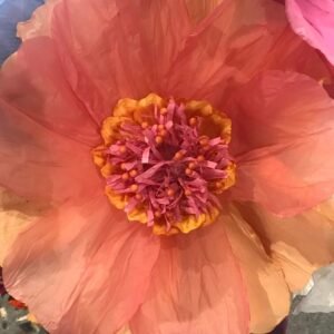 BEIGE: Moonlight paper flower
