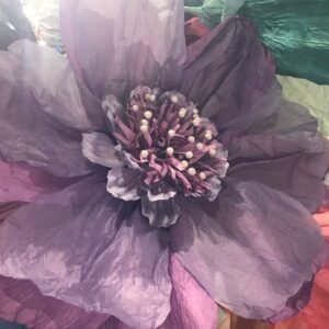 MAUVE: Moonlight paper flower