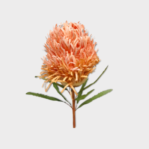 BEIGE: Banksia paper flower