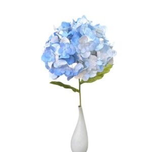 BLUE HYDRANYEA