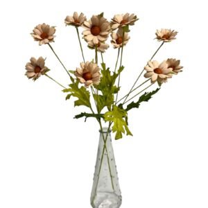 BEIGE : DAISY GARDEN