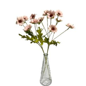 SALMON : DAISY GARDEN