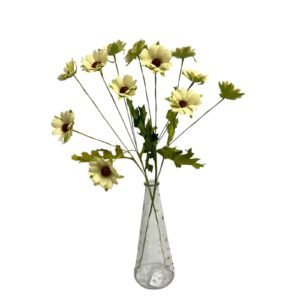 SOFT YELLOW : DAISY GARDEN