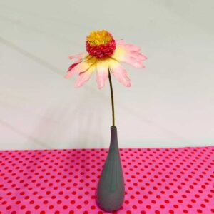 PINK ECHINACEA GARDEN