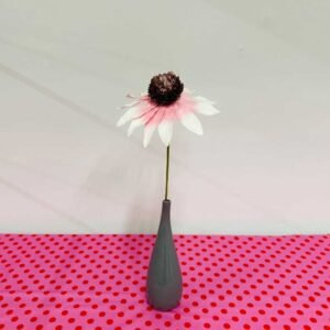 WHITE ECHINACEA GARDEN