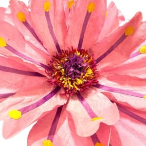 SALMON CORAL FLOWER
