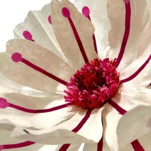 WHITE CORAL FLOWER