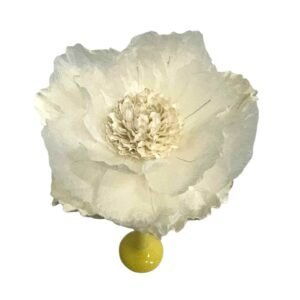 WHITE : HELLENIUM FLOWER