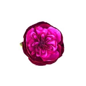 HOTPINK DAVID AUSTIN ROSE