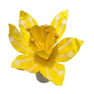 YELLOW DAFFODIL FLOWER : XL