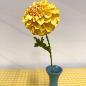 LEMON YELLOW JOWEY DAHLIA : MM