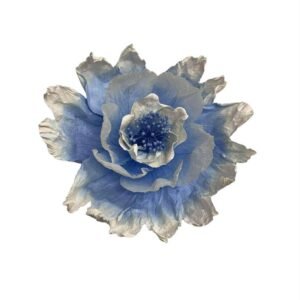 Baby blue : Bell flower