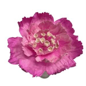 Pink : PRIMROSE FLOWER