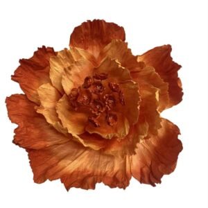 Orange : PRIMROSE FLOWER