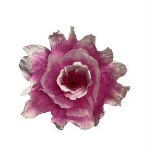 Pink : Bell flower