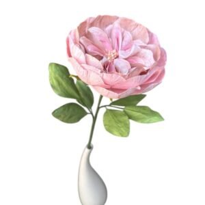 NUDE DAVID AUSTIN ROSE