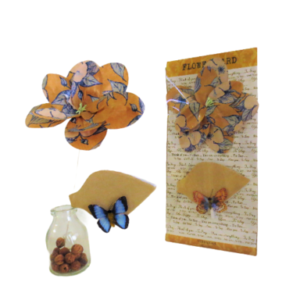 PFC-BWG: Blue Whisper Garden