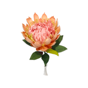 BEIGE: King protea paper flower