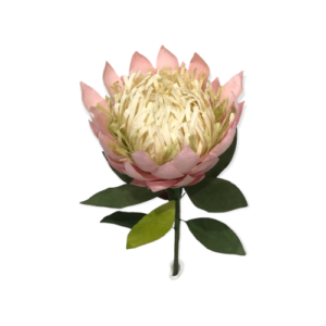 PINK: King protea paper flower