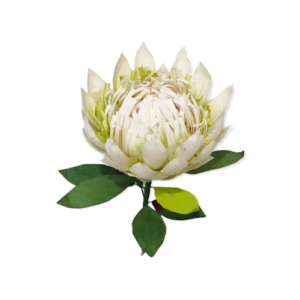 WHITE: King Protea paper flower