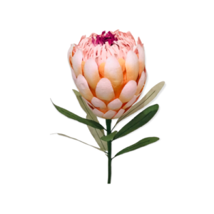 BEIGE: Princess Protea paper flower
