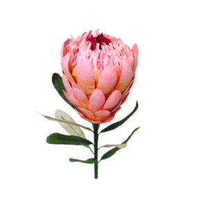 PINK: Princess protea paper flower
