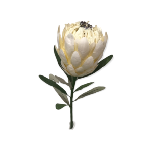 WHITE: Princess Protea paper flower