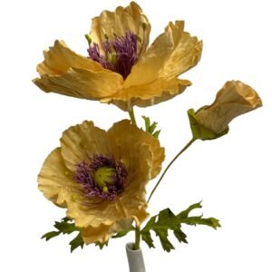 APRICOT : POPPY GARDEN