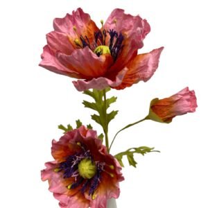 Salmon : POPPY GARDEN