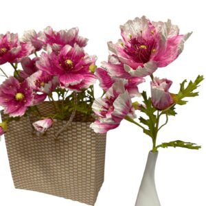 Soft Pink : POPPY GARDEN