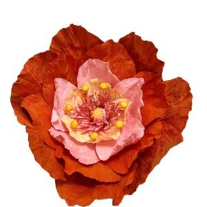 Orange : Poppy flower