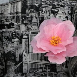 BABY PINK: Sakura paper flower