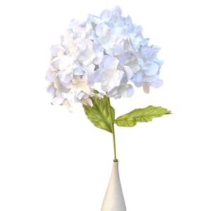 WHITE HYDRANYEA